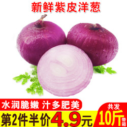 第二件4.9元】19年时令蔬菜新鲜红皮紫皮洋葱大葱圆葱红葱头5斤装