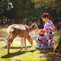 特价机票：东航直飞 昆明-日本大阪