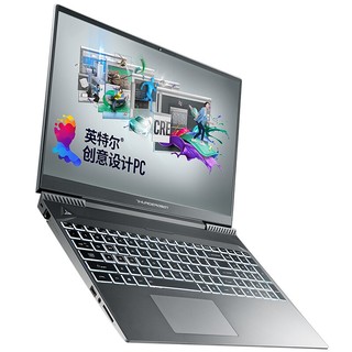 ThundeRobot 雷神 MasterBook 15.6英寸笔记本电脑（i5-9300H、8GB、512GB、GTX1050、72%色域 ）