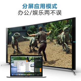 C-force CC07 同屏线USB-C转HDMI Type-C转接头手机电视线 (黑色、1米)