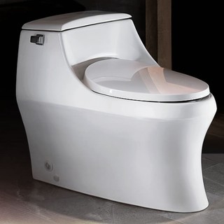 KOHLER 科勒 K-8688T 圣拉菲尔致尊款 连体座便器 305坑距 