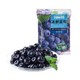 冰鲜大粒蓝莓 500g 酸奶伴侣 冷冻蓝莓 冷冻水果 *5件