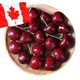 加拿大直采进口车厘子 2磅装 JJ级礼盒装 果径约28-30mm 生鲜进口水果樱桃礼盒 *2件
