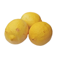 地道果 安岳柠檬 榨汁丑果 5斤