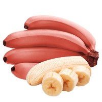 御福柚 红皮美人蕉  香蕉 5斤