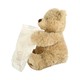 GUND BabyGund系列 用毯子躲猫猫的小熊 毛絨玩具 *2件