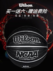 Wilson 威尔胜 206CV 篮球7号篮球