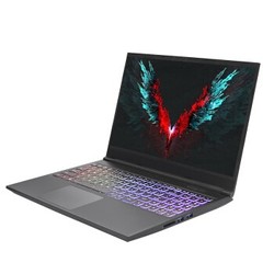 Shinelon 炫龙 T3Ti 15.6英寸游戏本（i5-9300H、16GB、512GB、GTX1660Ti）