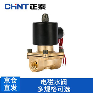 CHNT 正泰 电磁水阀（4分） 160-15 220V