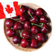 加拿大进口车厘子 1磅装 J级 果径约26-28mm 生鲜进口水果樱桃 *4件