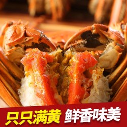 超大螃蟹鲜活大闸蟹六月黄海鲜水产特大新鲜现货公母蟹