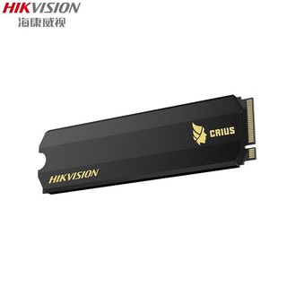 HIKVISION 海康威视 C2000 PRO 固态硬盘 512GB