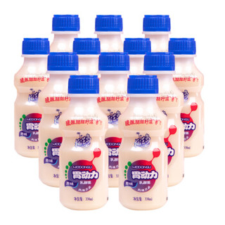 椰汁岛 1815B12 胃动力乳酸菌风味酸牛奶 338ml*12瓶