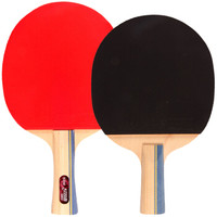 DHS 红双喜 入门训练业余乒乓球拍横直对拍套装赠乒乓球(e2星横直）  e2xinghengzhi