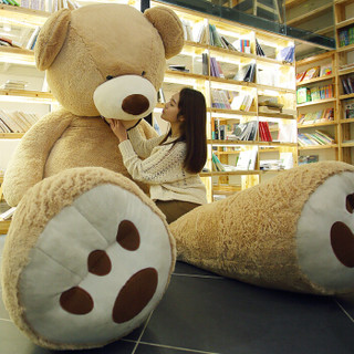 贝壳龙 泰迪熊猫公仔抱枕 浅棕色款1.3米YLT-ZYD-0012