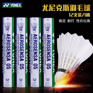 YONEX 尤尼克斯 羽毛球拍单拍AS05羽球超轻攻防兼备全碳素耐打高端羽拍天斧99疾光系列 1桶装 AS05羽毛球（球速随机）