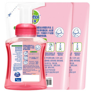 Dettol 滴露 滴露（Dettol）泡沫抑菌洗手液汪汪队樱桃芬芳250+225*2ml  儿童洗手液 5秒杀菌