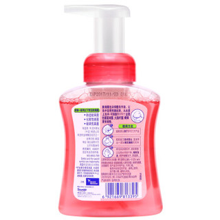 Dettol 滴露 樱桃芬芳儿童健康抑菌泡沫洗手液250ml*2瓶