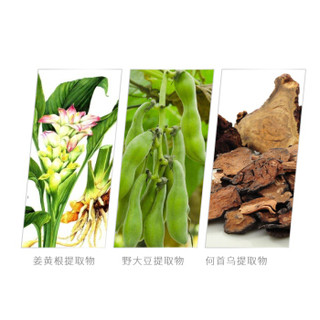 珍草堂 植物焗油染发剂黑色炫彩染发膏无刺激彩染焗油膏120g 咖啡色（梦幻栗棕）