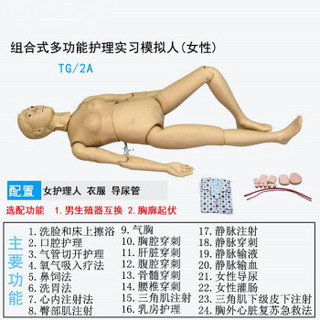 蚁伽 WF-LN 心肺复苏模拟人 人体模型教学 CPR100C  WF-LN (WF-LN)