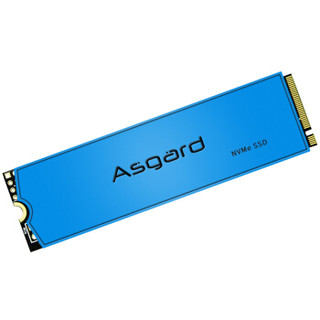 亲子会员：Asgard 阿斯加特 AN3系列 500GB SSD固态硬盘 M.2接口