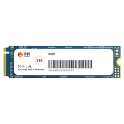 ZHIKE 挚科 A300系列 M.2 NVMe 固态硬盘 256GB