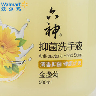 六神 洗手液 个人清洁 抑菌洗手液（金盏菊） 500ml 690129420288