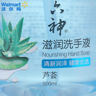 六神 洗手液 个人清洁 滋润洗手液（芦荟） 500ml 690129420288