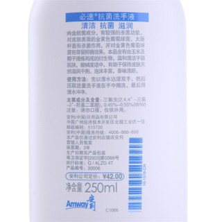 Amway 安利 洗手液250ml （温和清洁手部肌肤 旗舰店）