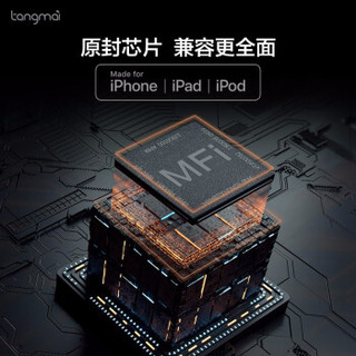 Tangmai 唐麦 入耳式有线耳机线控适用    T3-Lightning (白色、安卓、入耳式)