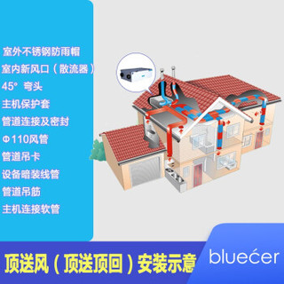 bluecer 布鲁舍 BG350DX 空气净化器 灰色 (灰色)