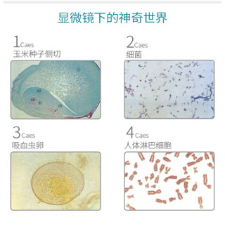 yujie 宇捷 显微镜光学生物中小学生儿童5000高倍高清检测便捷式教学示范科普实验美容养殖观测精卵子   003