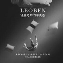 SIDANDA诗丹娜95白鹅绒枕头100支全棉羽绒枕头+凑单品