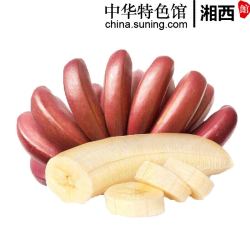 湘西馆 红皮香蕉2.5斤