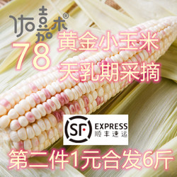 京东 秒杀 顺丰 隔日达 第二件1元  黄金乳期玉米  2.5kg