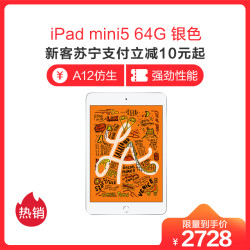 2019款 Apple iPad mini5 7.9英寸 平板电脑(64GB WLAN版 MUQX2CH/A 银色)