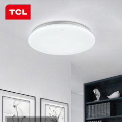 TCL照明 LED吸顶灯卧室灯客厅灯玄光过道灯现代简约阳台厨卫书房灯 翠华系列 翠华过道阳台灯Φ385m正白光24W