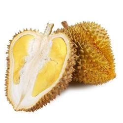 (自营包邮)泰国进口 金枕头榴莲 1.5-2kg 1个装 新鲜水果