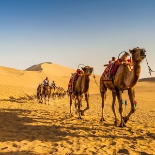 6大景区门票+景区直通车！甘肃敦煌2天1晚跟团游