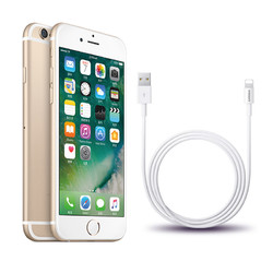 Apple iPhone 6 32GB 金色+品胜快充数据线套装