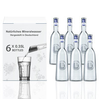 Liz（丽兹）德国原装进口充气天然气泡矿泉水玻璃瓶 350ml*6瓶 1箱