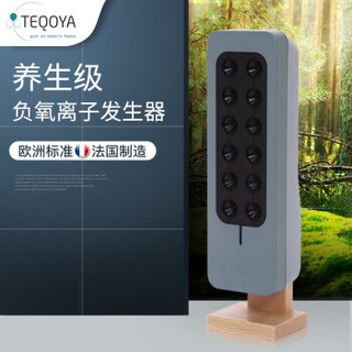 得康氧TEQOYA air200养生 负离子发生器  白色 (白色)