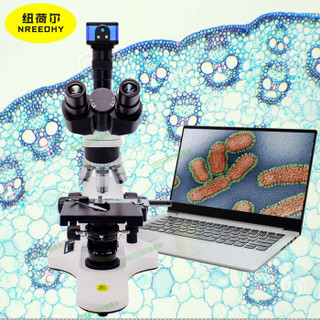 nreeohy 纽荷尔 生物显微镜三目显微镜医用显微镜实验显微镜光学高倍显微镜细胞微生物水产养殖标本实验室教学科研用 纽荷尔生物显微镜 S-E67