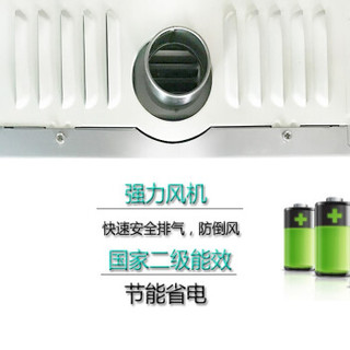 Peskoe 半球 jsq20-10L 10L燃气热水器  天然气