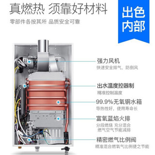 Peskoe 半球 A1 10升 燃气热水器 天然气