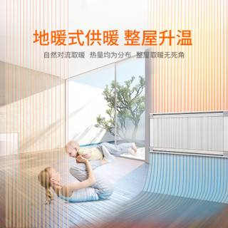 xiangzhao 祥兆 电暖器 2500W  白色款