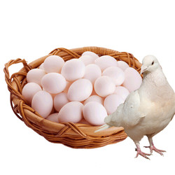 芮瑞 农家散养新鲜鸽子蛋 30枚装