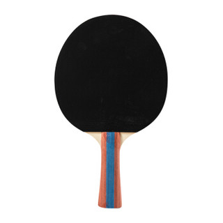 Agnite 安格耐特 乒乓球拍 横拍对拍双面反胶(带三球 F2366A