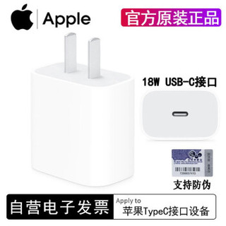 Apple 苹果 快充充电器头