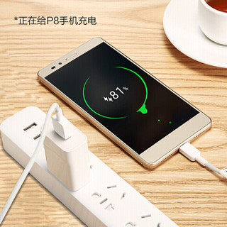 HUAWEI 华为 QuickCharge快充版（Max 18W）